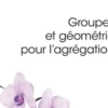 Groupes et géometrie pour l'agrégation, Jean-Marc Garnier