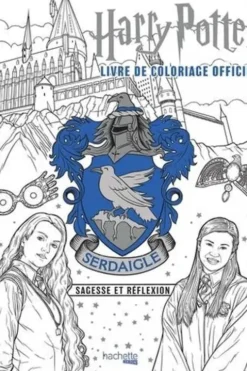 Harry Potter Serdaigle. Sagesse et réflexion, Wizarding World