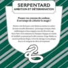 Harry Potter Serpentard. Ambition et détermination, Wizarding World