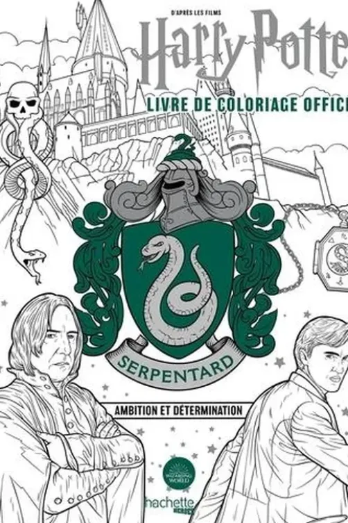 Harry Potter Serpentard. Ambition et détermination, Wizarding World