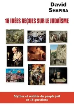 16 idées reçues sur le judaïsme. Mythes et réalites du peuple juif en 16 questions, David Shapira