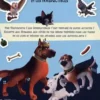 Idéfix et les Irréductibles. Activités & autocollants, Hachette