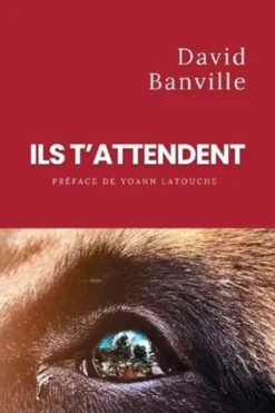 Ils t'attendent, David Banville