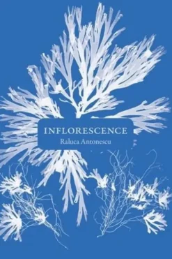 Inflorescence, Raluca Antonescu