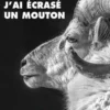 J'ai écrasé un mouton, Pema Tseden
