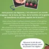 Je fais pousser mes légumes. C'est magique !, Elodie Goustiakov