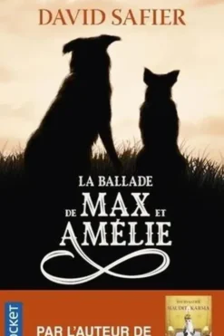 La ballade de Max et Amélie, David Safier