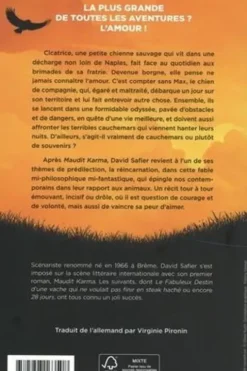 La ballade de Max et Amélie, David Safier
