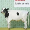 Laitier de nuit, Andreï Kourkov