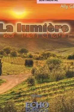La lumière sur mon chemin, Ally Gé