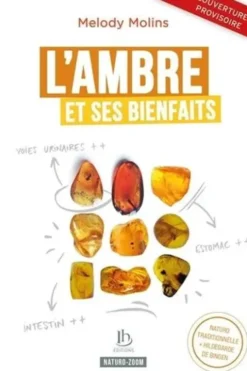 L'Ambre et ses bienfaits, Mélody Molins