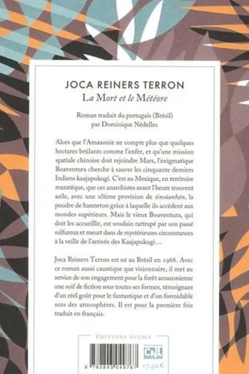 La mort et le météore, Joca Reiners Terron