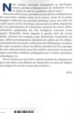 La nef des fous. Des nouvelles du Bas-Empire Tome 3, Michel Onfray