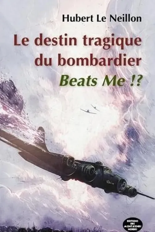 La tragédie du bombardier Beats Me !?, Hubert Le Neillon