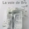 La voie de Bro, Vladimir Sorokine