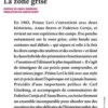 La zone grise. Précédé de Calvino, Levi et la zone grise