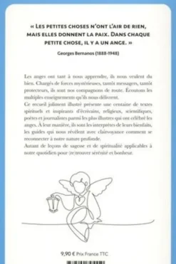 L'école des anges. Ecouter les anges pour vivre mieux, Suzac