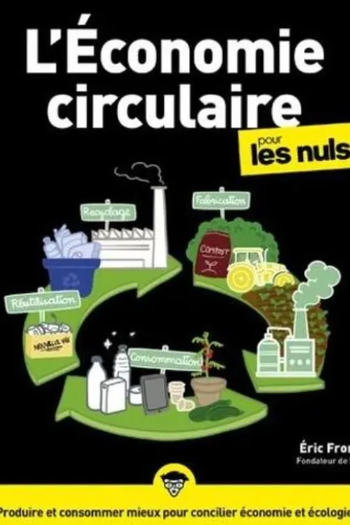 L'Economie circulaire pour les Nuls, Eric Fromant