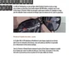 Le dernier vol de Dan Cooper, Jean-Luc Cornette