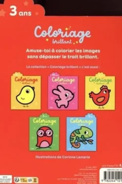 Le dragon, Corinne Lemerle