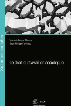 Le droit du travail en sociologue, Vincent-Arnaud Chappe
