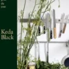 Le goût du jour, Keda Black