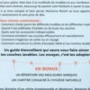 Le guide complet des couches lavables, Anne Bertrel