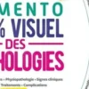 Le mémento 100% visuel des pathologies en IFSI, Anne Barrau