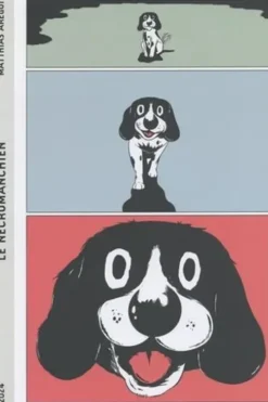 Le Nécromanchien, Matthias Arégui