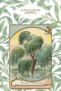 Le petit livre des arbres, Dominique Pen Du