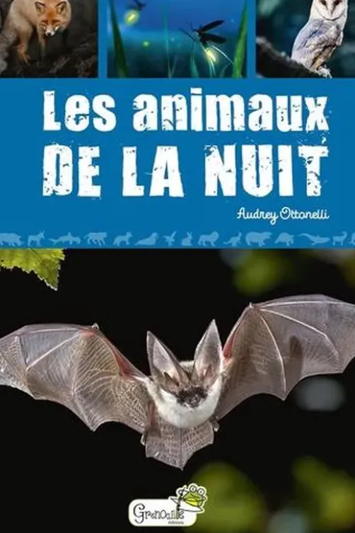 Les animaux de la nuit, Audrey Ottonelli