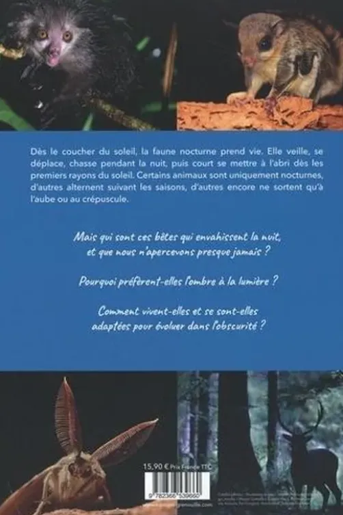 Les animaux de la nuit, Audrey Ottonelli