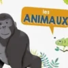 Les animaux, Fabien Öckto Lambert