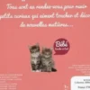 Les chatons, Langue au chat