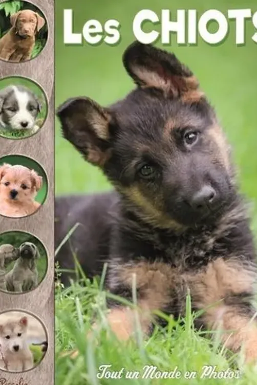 Les chiots, Christine Baillet