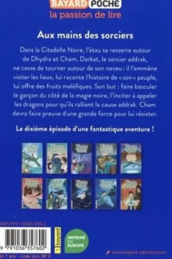 Les dragons de Nalsara Tome 10 : Aux mains des sorciers, Marie-Hélène Delval