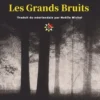 Les Grands Bruits, Marente De Moor