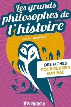 Les grands philosophes de l'histoire, Sylvain Bosselet