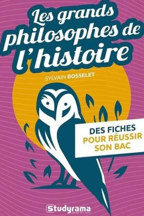 Les grands philosophes de l'histoire, Sylvain Bosselet