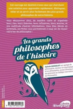 Les grands philosophes de l'histoire, Sylvain Bosselet