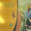 Les jardins du maïs, Laurence Ottenheimer