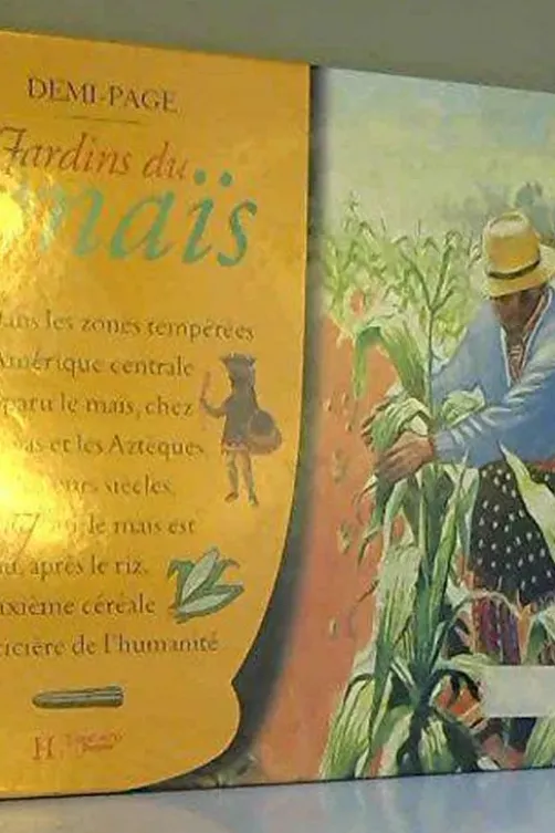 Les jardins du maïs, Laurence Ottenheimer