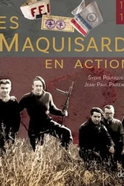 Les maquisards en actions. 1943-1945, Sylvie Pouliquen