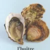 L'huître. Ostreoidea, Laurent Seminel