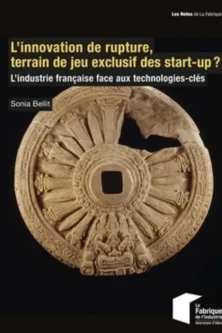 L'innovation de rupture, terrain de jeu exclusif des start-up ? L'industrie française face aux technologies clés, Sonia Bellit