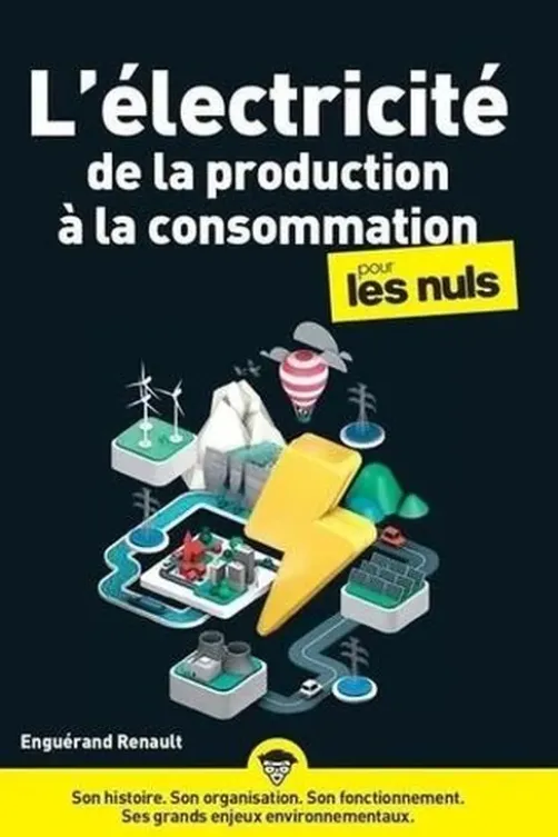 L'électricité de la production à la consommation pour les nuls, Enguérand Renault