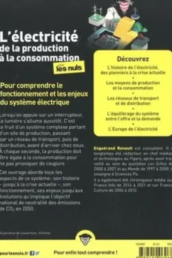 L'électricité de la production à la consommation pour les nuls, Enguérand Renault