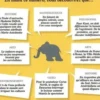 L'éléphant N° 33, janvier 2021, Guénaëlle Le Solleu