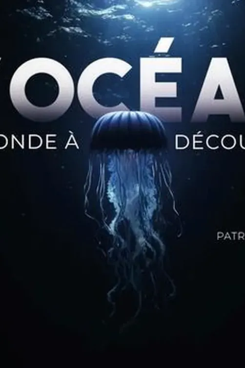 L'océan. Un monde à découvrir, Patrick Gillet