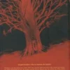 Luminary Tome 1 : Canicule, Stéphane Perger
